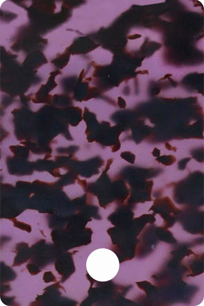 YL2CA200
